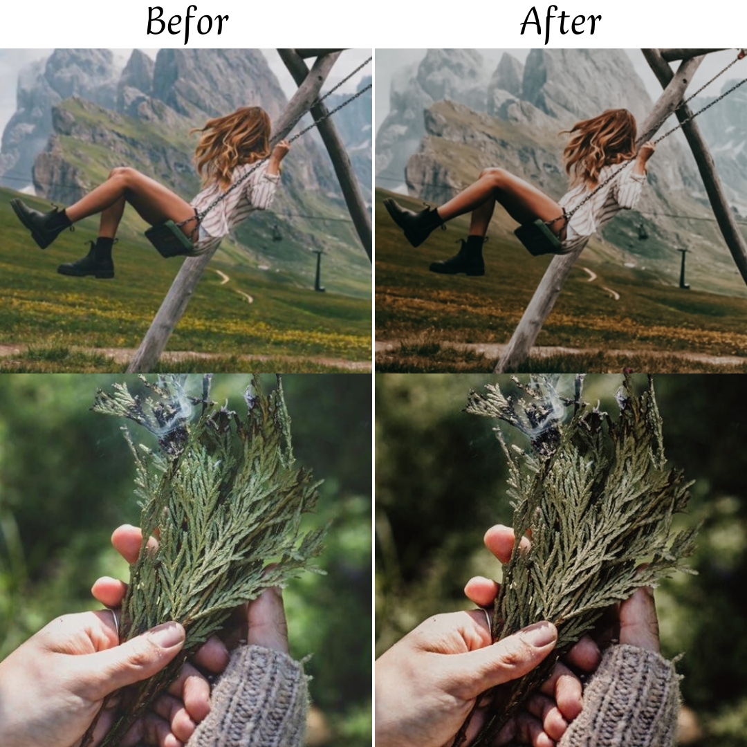 EARTHY TONES LIGHTROOM PRESETS