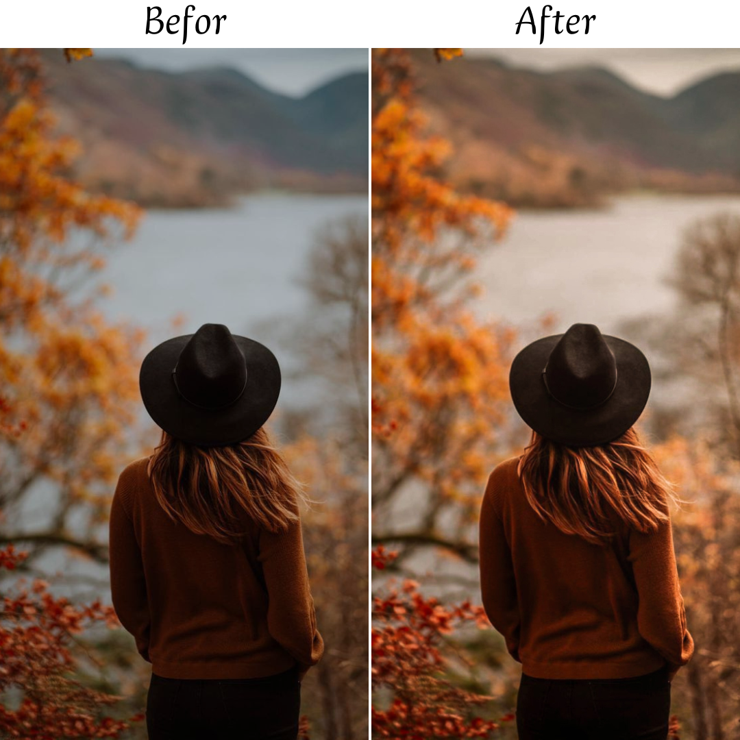 AUTUMN LEAVES LIGHTROOM PRESETS