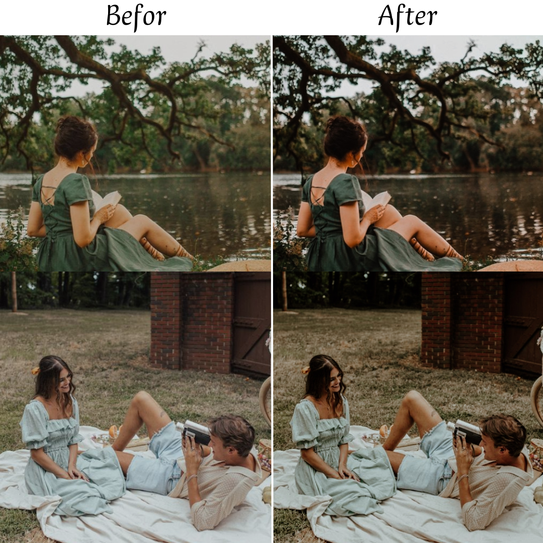 EARTHY TONES LIGHTROOM PRESETS