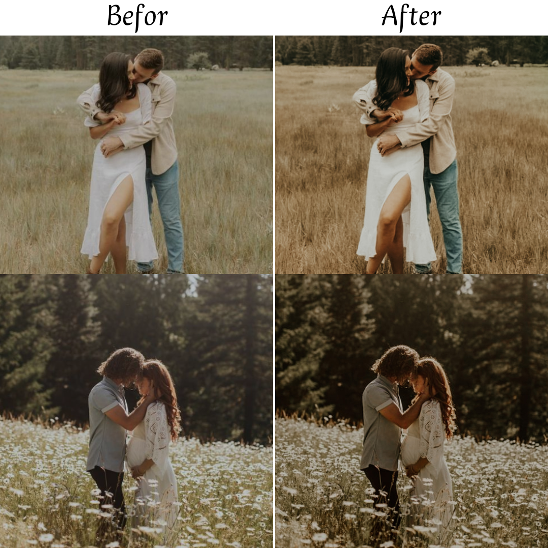 EARTHY TONES LIGHTROOM PRESETS