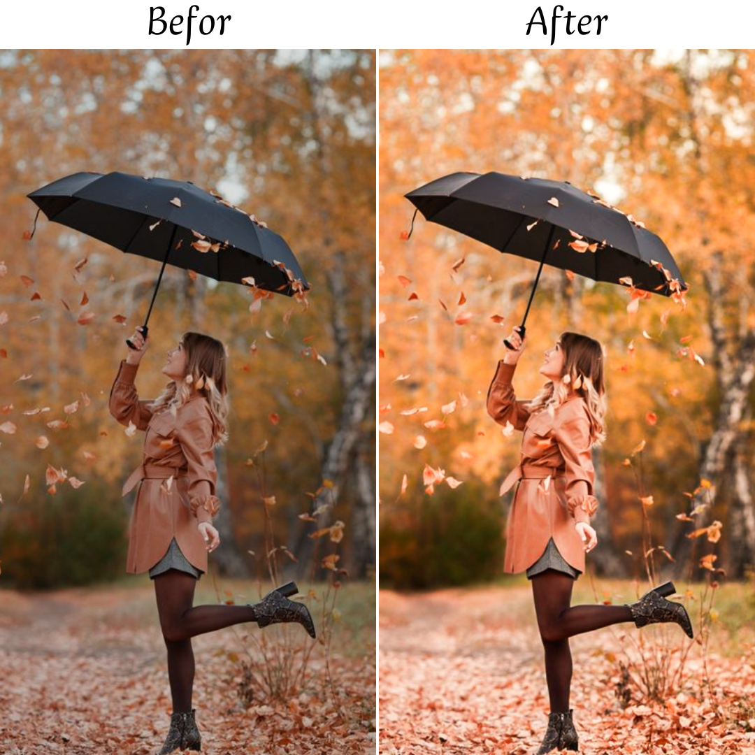 AUTUMN LEAVES LIGHTROOM PRESETS