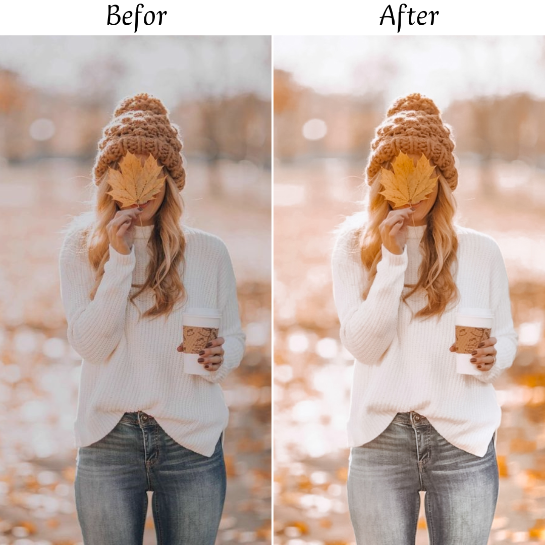 AUTUMN LEAVES LIGHTROOM PRESETS