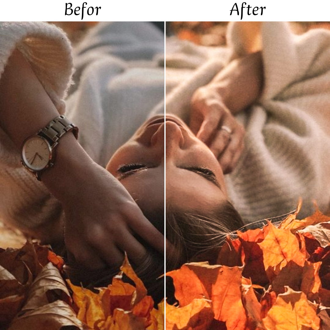 AUTUMN LEAVES LIGHTROOM PRESETS