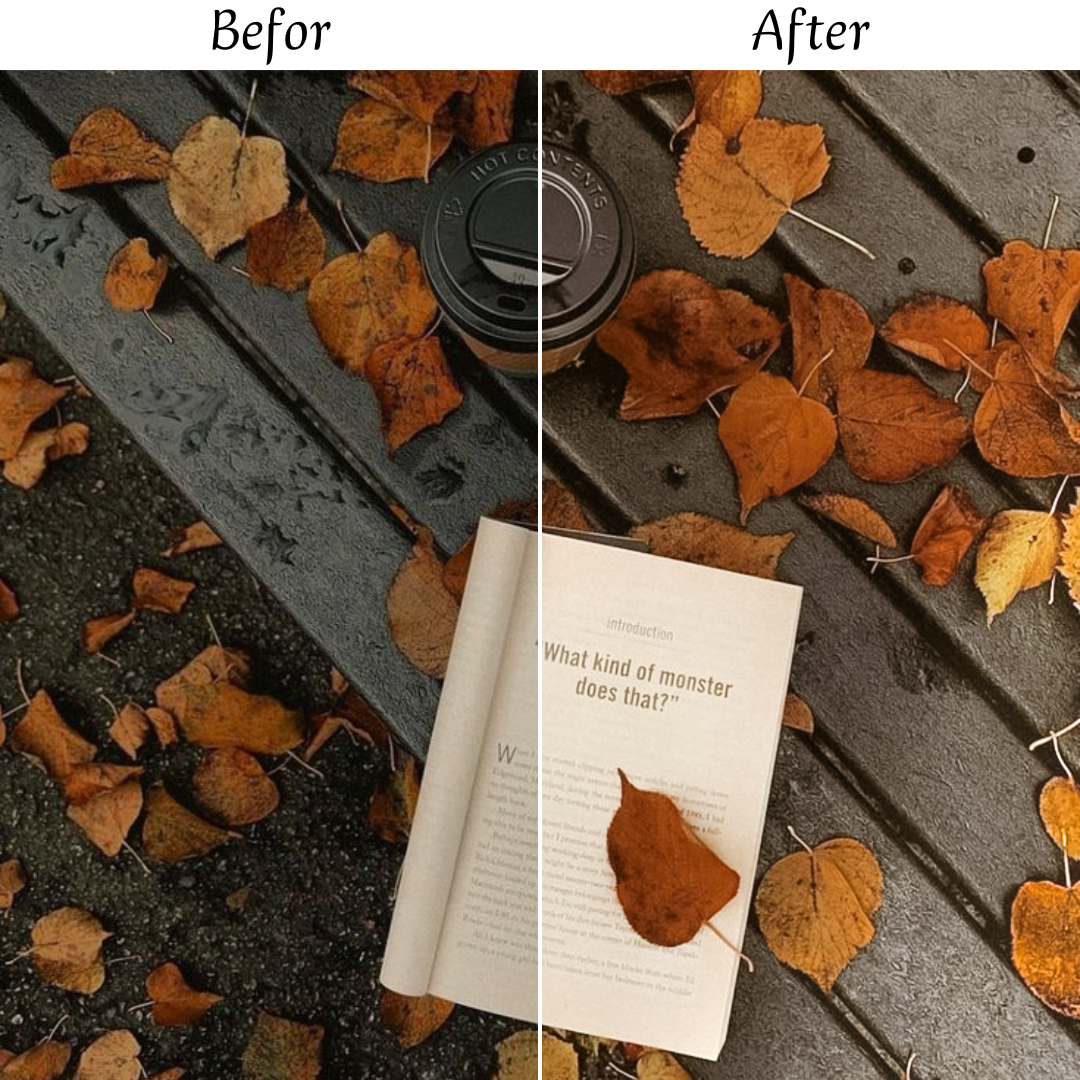 AUTUMN LEAVES LIGHTROOM PRESETS