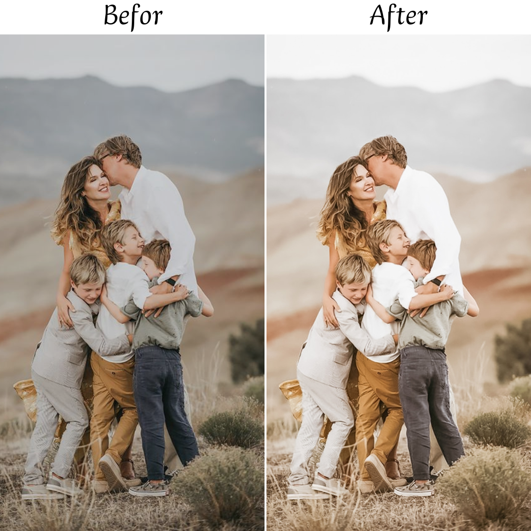 PERFECT FAMILY LIGHTROOM PRESETS