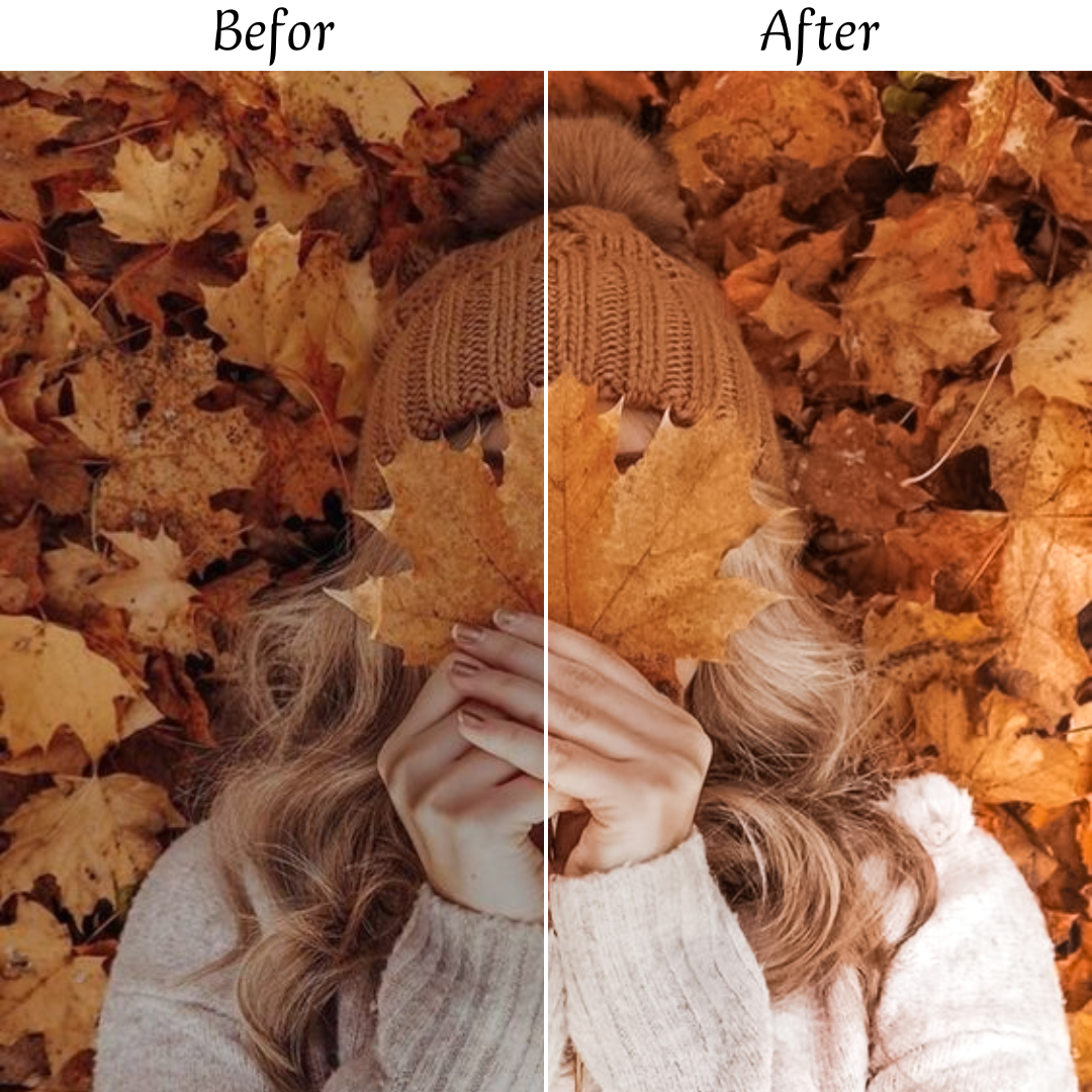 AUTUMN LEAVES LIGHTROOM PRESETS