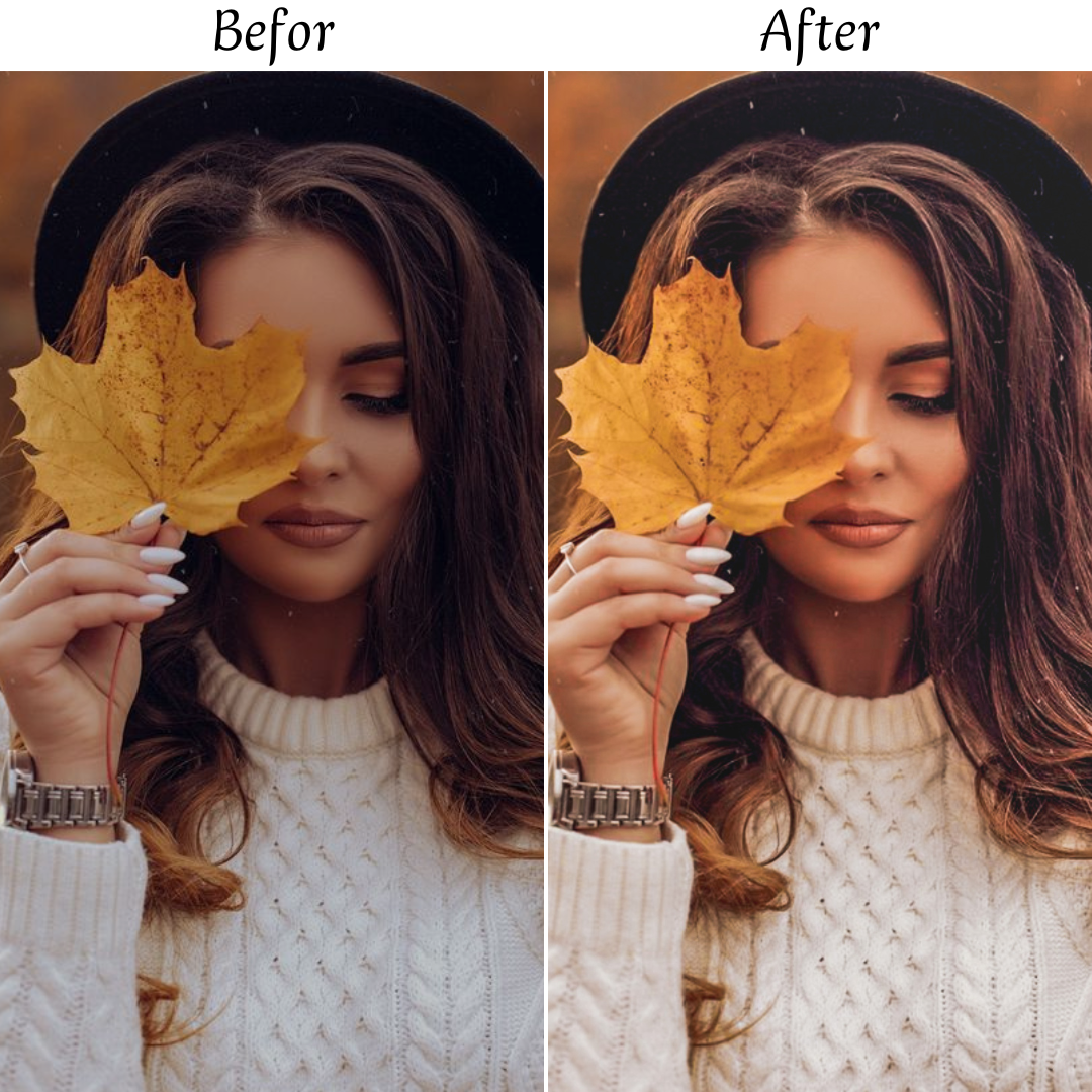 AUTUMN LEAVES LIGHTROOM PRESETS