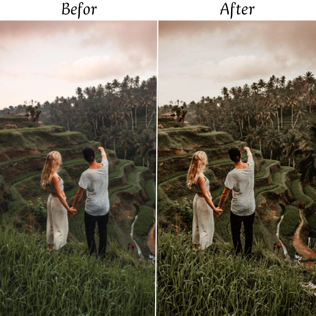 EARTHY TONES LIGHTROOM PRESETS