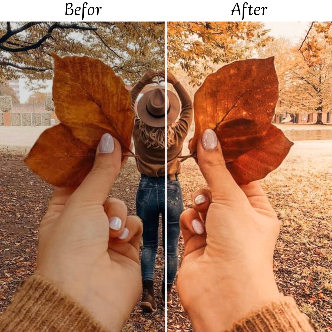 AUTUMN LEAVES LIGHTROOM PRESETS