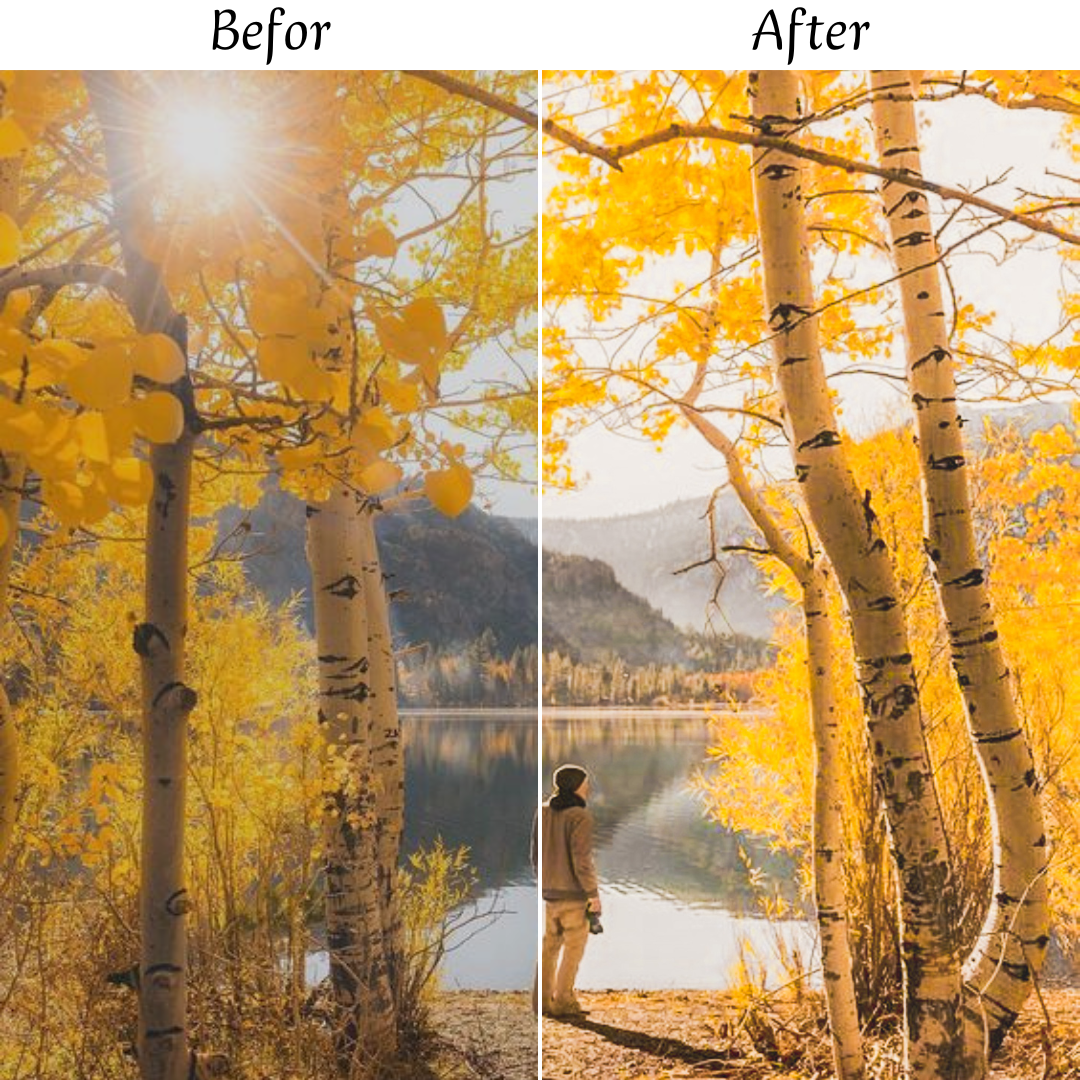 AUTUMN LEAVES LIGHTROOM PRESETS