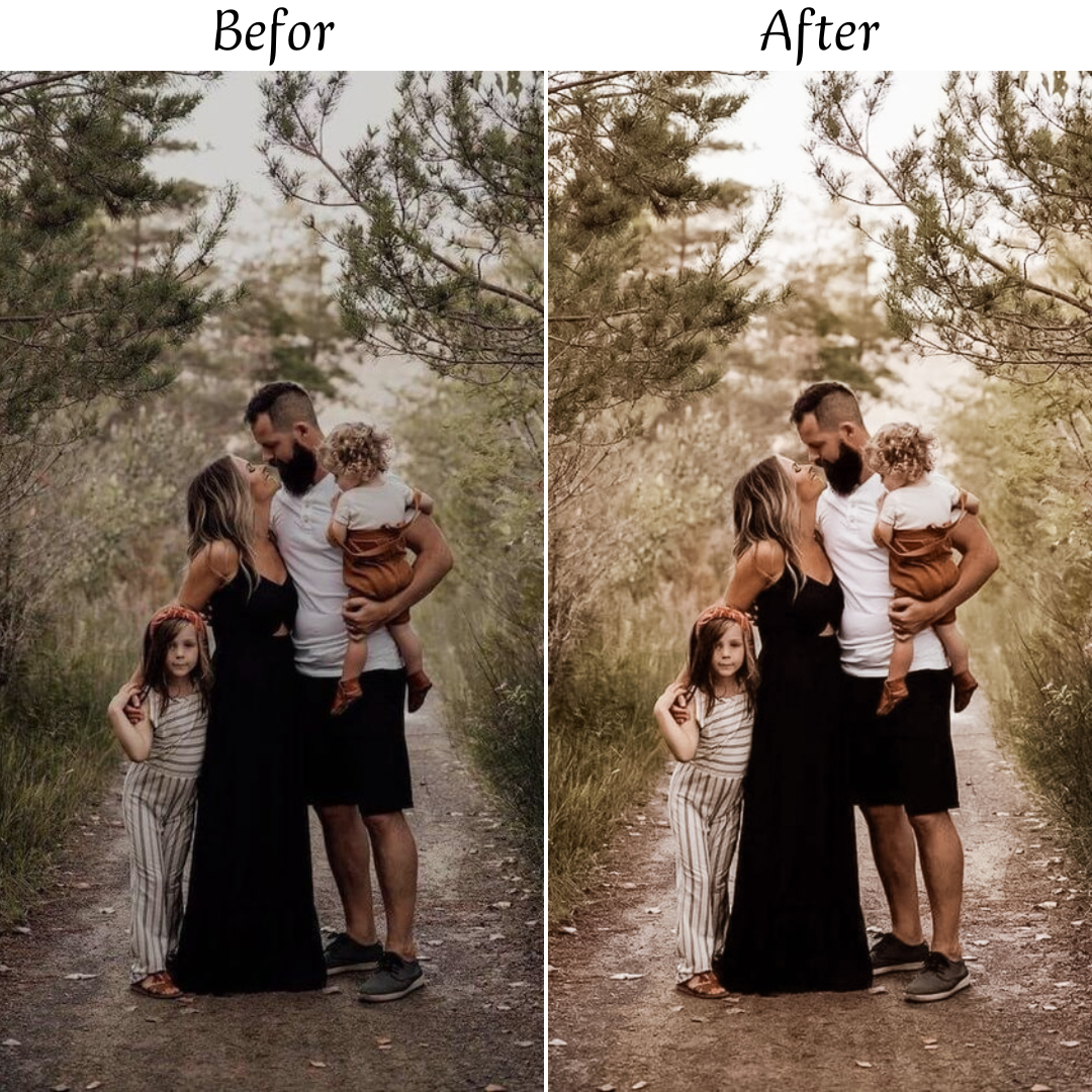 PERFECT FAMILY LIGHTROOM PRESETS