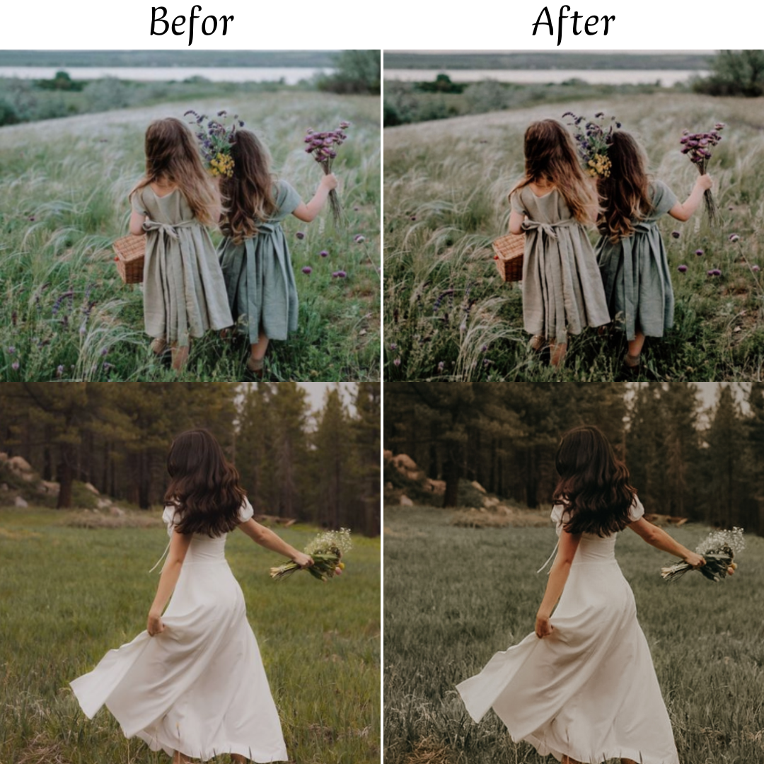 EARTHY TONES LIGHTROOM PRESETS